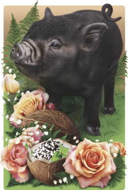 Чехол из раздела Цветы Black pig and flowers для Xiaomi Redmi 12 2