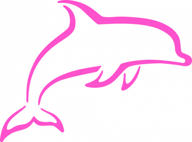 Жіноча футболка Dolphin outline minimalist 2