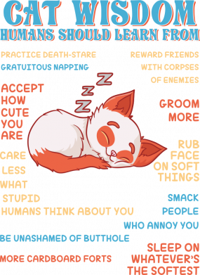 Футболка оверсайз FATLINE Cat Wisdom 2