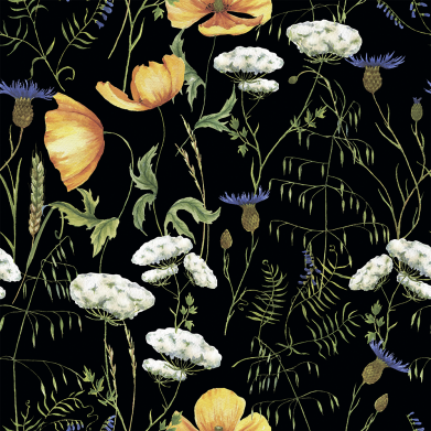 Українські луки