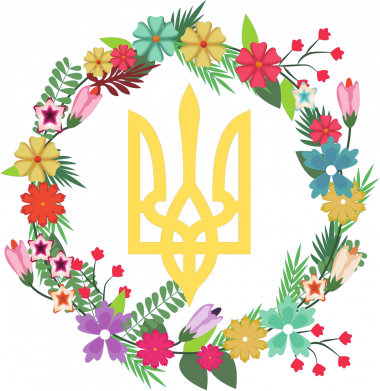 Жіноча футболка Герб Украины в винке 2