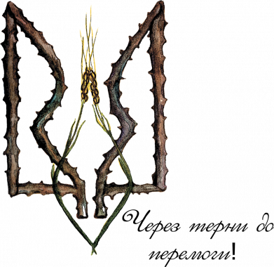 Сквозь тернии к победе