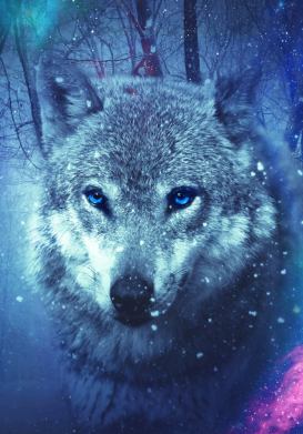Принт Чехол для Realme 6 Blue-eyed wolf, Фото № 2 - FATLINE