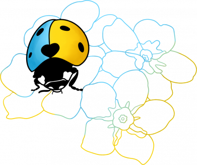 Женская футболка Сонечко 2