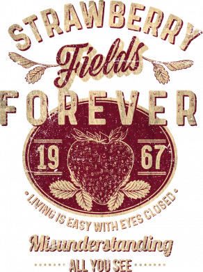 Свитшот оверсайз Strawberry Fields 2