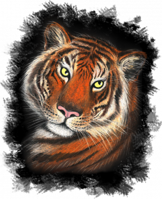 Фляга Тигр Рисунок 2