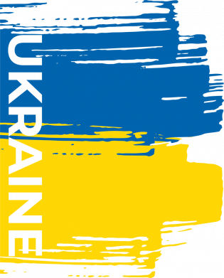 Женская футболка Ragged Flag of Ukraine 2