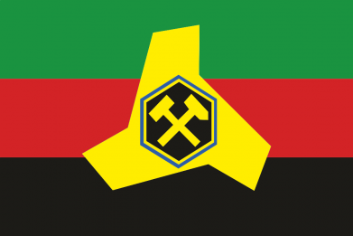 Чехол из раздела Коллекции Флаг Торецка для Huawei P Smart 2021 2