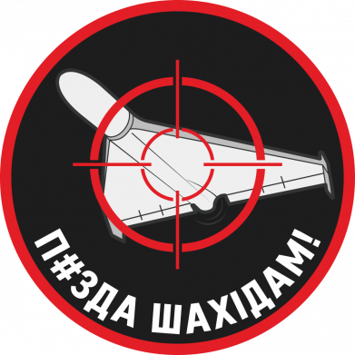 Мужская футболка Stedman П*зда шахидам 2