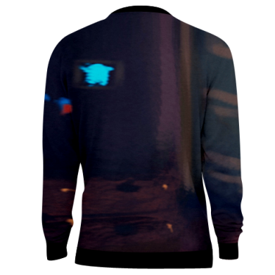 3D свитшот Raccoon 2