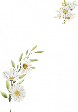 Мужская футболка Stedman Ромашки Freedom 2