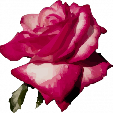 Принт Блокнот А5 Rose art vector, Фото № 2 - FATLINE