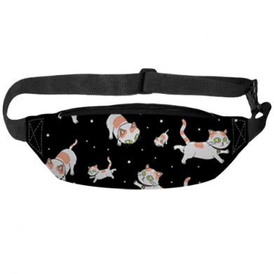 3D сумка-бананка Rick and Morty Schrodinger cats and Einstein 2