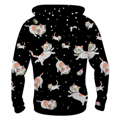 Мужская 3D худи Rick and Morty Schrodinger cats and Einstein 2