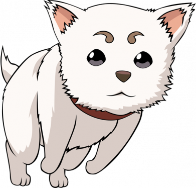 Мужские шорты Садахару арт 2