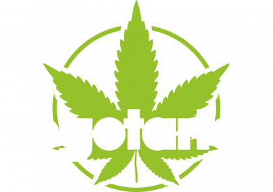 Чехол из раздела Наркоманские Vegetarian hemp для Xiaomi Poco M4 Pro 5G 2