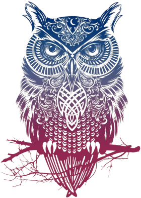 Принт Мужская худи Owl Art, Фото № 2 - FatLine