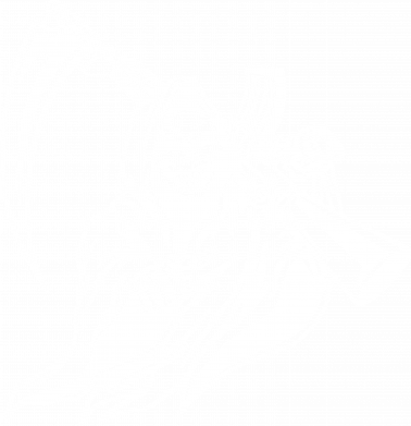 Чехол из раздела Черепа Grim Reaper для Meizu 17/17 Pro 2