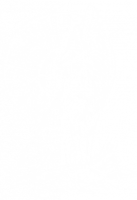 Мужская футболка Stedman Одинокий волк. Смелость и свобода 2