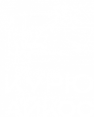 Шоппер Курю айкос 2