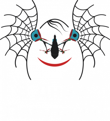 Принт Худи облегченное Милое лицо и надпись - З Днем паутины!, Фото № 2 - FATLINE