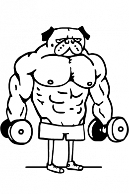 Футболка преміум чоловіча FATLINE Never Skip Leg Day 2