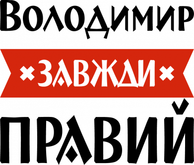 Принт Мягкая игрушка Котик Владимир всегда прав, Фото № 2 - FATLINE