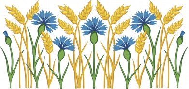 Волошки та колосся пшениці