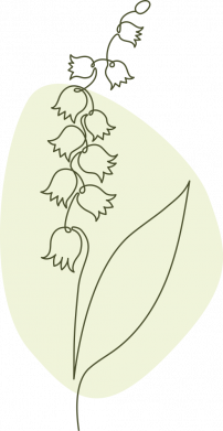 Лінія конвалія