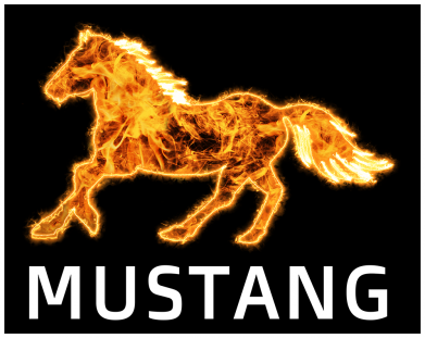 Худи премиум мужская Mustang Firely 2