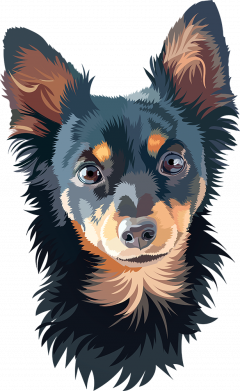 Мужская футболка Stedman Той-терьер 2