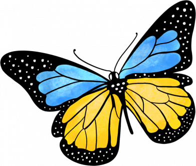 Кружка-хамелеон Украинская бабочка арт 2