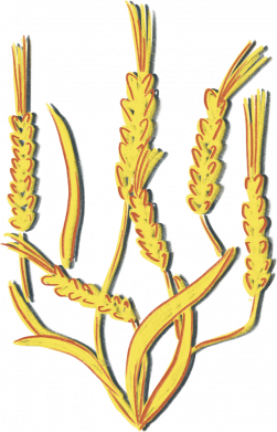 Кружка 320ml Герб України колоски 2