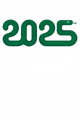 Женская футболка Новогодний принт, змея 2