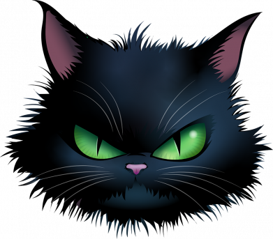 Шапка на флисе Злой Котик 2