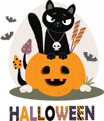 Детская худи Halloween Черный кот в Тыкве Джек с черепом 2