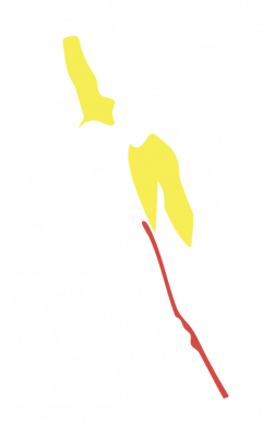 Женская футболка Freddie Mercury ND 2