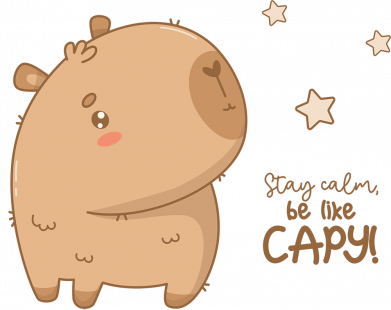 Мужские носки Спокойный стиль капибары 2