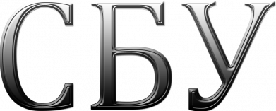 Дитяча футболка СБУ серый 2