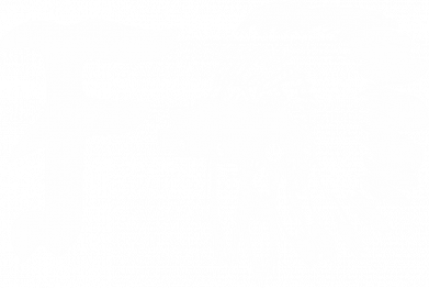 Мужская футболка Stedman Forward skull 2