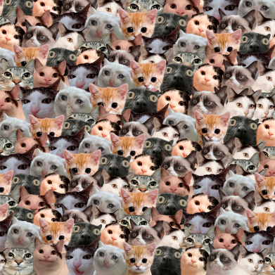 3D пенал Favorite Meme Cats 2