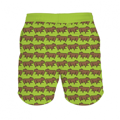 3D шорты мужские спортивные Капибара пиксельная 2