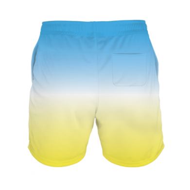 3D шорти чоловічі спортивні Colors of our freedom 2