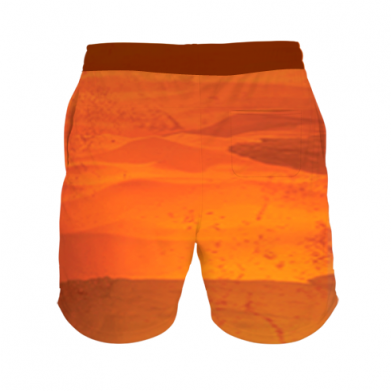 3D шорты мужские спортивные Dune Desert 2