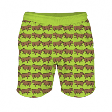 Принт Дитячі 3D штани Капібара піксельна, Фото № 2 - FATLINE