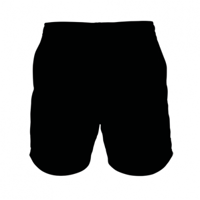 3D шорти чоловічі спортивні Пивозавр 3D 2