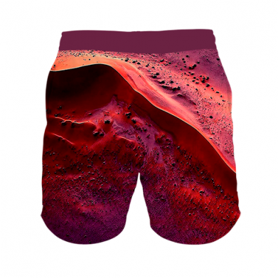 3D шорты мужские спортивные D U N E 2