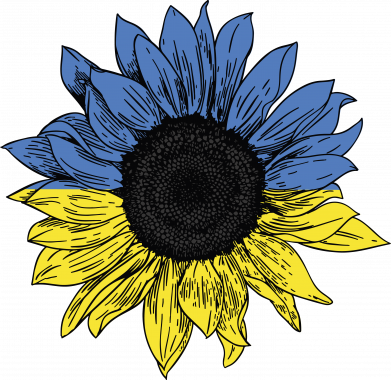 Дитяча футболка Україна! Соняшник 2