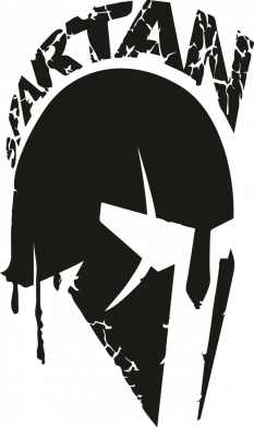 Жетон армейский титановый Spartan minimalistic helmet 2