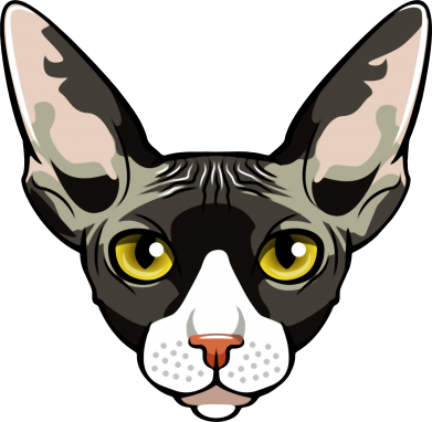 Жіноча футболка Котя сфінкс жовті очі 2